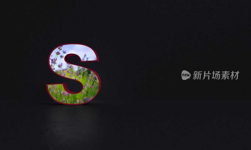 字母S -与照片背景- 3d渲染